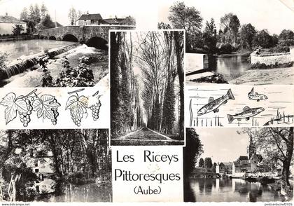 Lot231  france les riceys pittoresques aube