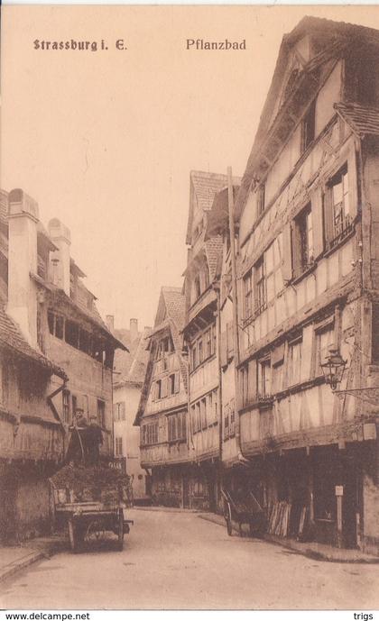 Straßburg i. E. - Pflanzbad