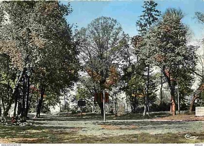 94 - Sucy en Brie - Parc Montaleau - CPM - Voir Scans Recto-Verso