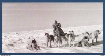 TAAF - Carte Postale - Chiens de traineau - Expéditions polaires Françaises