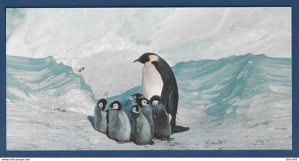 TAAF - Carte Postale - Manchots Empereur - Expéditions polaires Françaises