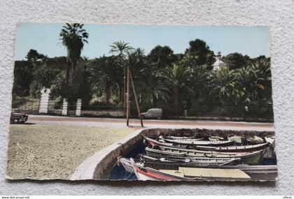 Cpsm 1970, Toulon et ses environs, Tamaris et sa flore, Var 83