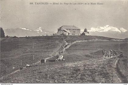 CPA Taninges Hôtel du Praz-de-Lys et le Mont-Blanc