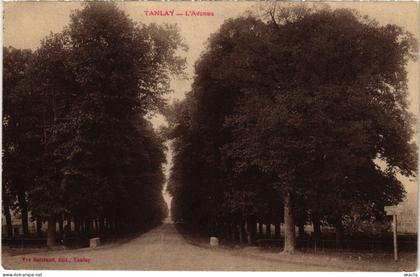 CPA Tanlay L'Avenue FRANCE (1451903)