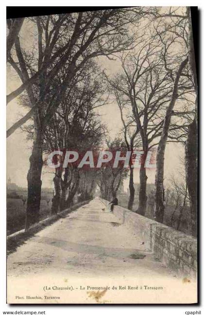CPA Tarascon (La Chaussee) La Promenade du Roi Rene a Tarascon