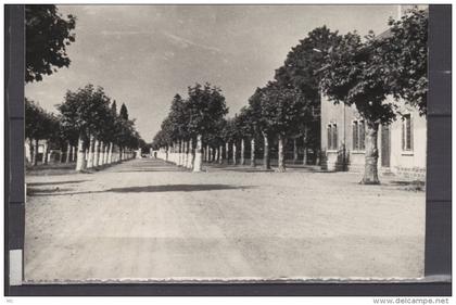 65 - près Tarbes - Au dos au stylo : Souvenir du Camp de Ger