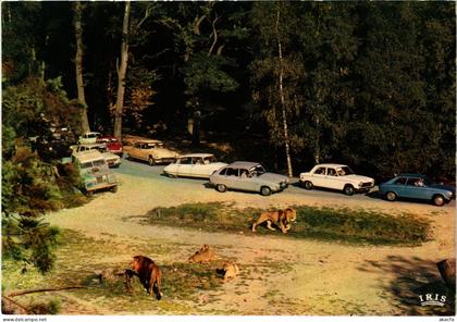 CPM Thoiry Lions en liberte FRANCE (1452578)