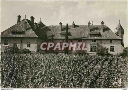 CPM Thonon les Bains Hte Savoie Le chateau de Ripaille