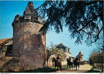 Carte Postale - 79 - Thouars - Le centre hippique Thouarsais au château de Beauvais aux environs de Thouars - Chevaux -