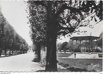 CPM Tonnerre Le Pâtis