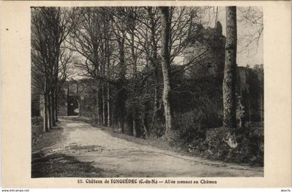 CPA TONQUEDEC Chateau de Tonquedec - Allee Menant au Chateau (1166364)