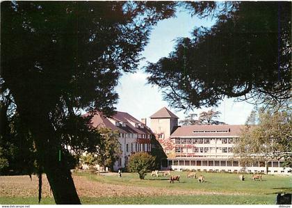 65 - Tournay - Abbaye Bénédictine d'Ozon - En clôture - CPM - Voir Scans Recto-Verso