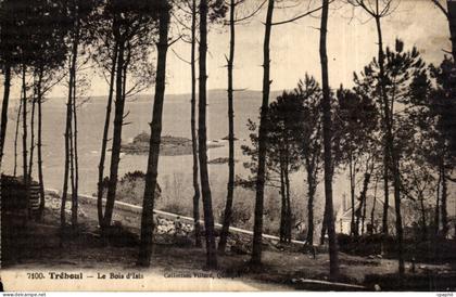 CPA Treboul Le Bois d Isis