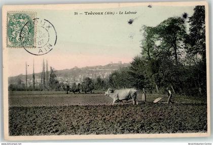 52030076 - Trevoux