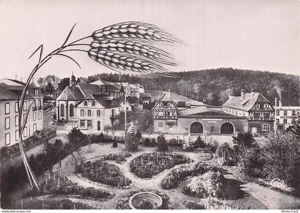 68 TROIS EPIS TROIS EPIS