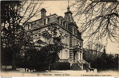 CPA TULLINS - Chateau de Pinet (653040)