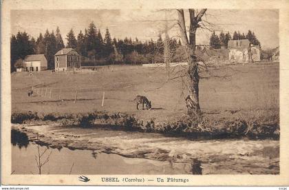 CPA Ussel Un paturage - Ane