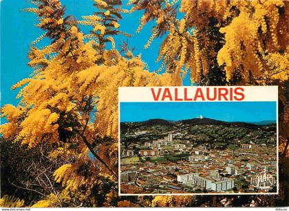 Carte Postale - 06 - Vallauris - Souvenir de Vallauris - CPM - Voir Scans Recto-Verso
