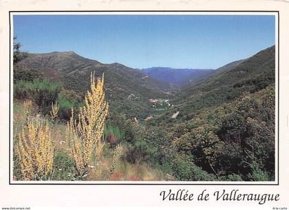 30 VALLERAUGUE VALLEE DE VALLERAUGUE