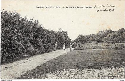 Varengeville-sur-Mer - La Descente à la mer - Les Bois