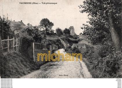 C P A  60  - VAUMOISE  - vue pittoresque