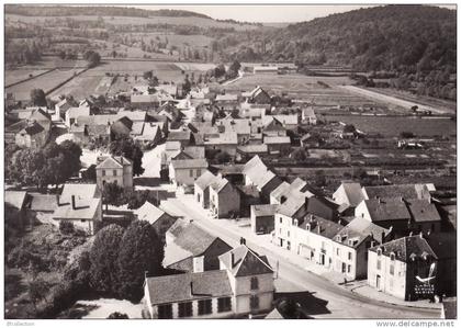 EN AVION AU DESSUS DE VENAREY LES  LAUMES  / COTE D´OR / LE HAUT DU BOURG / VUE AERIENNE