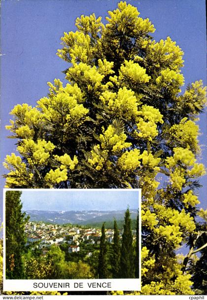 CPM Souvenir de Vence