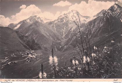 38 VENOSC ALPE DE VENOSC