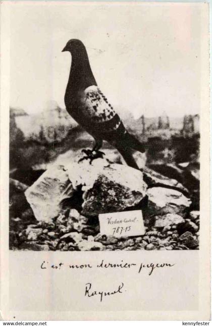 Verdun - Taube