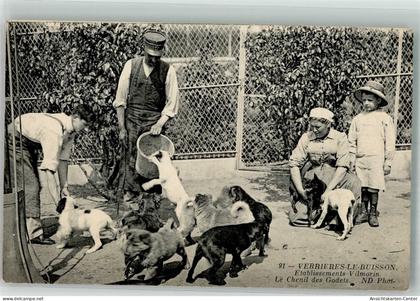 14012374 - Verrieres-le-Buisson