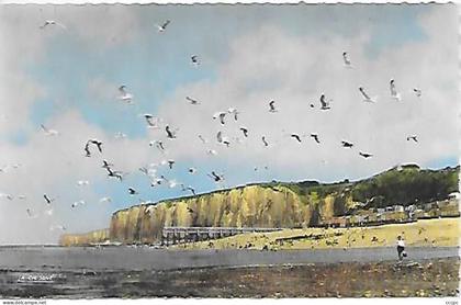 CPSM Veules-les-Roses vol de Mouettes