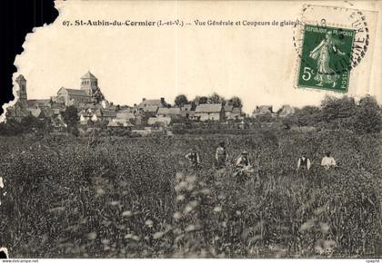 CPA St Aubin du Cornier L et V Vue Generale et Coupeurs de glaieuls