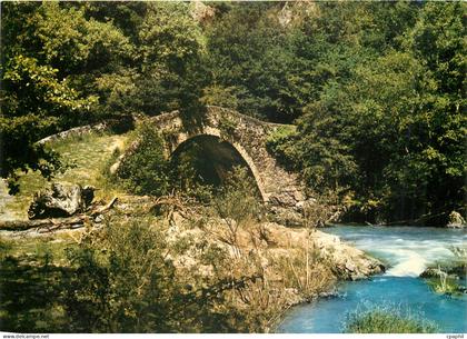 CPM Villefranche de Rouergue Aveyron Le Pont du Cayla