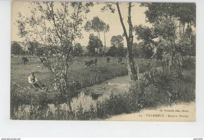 VILLEMEUX SUR EURE - Dans la Prairie