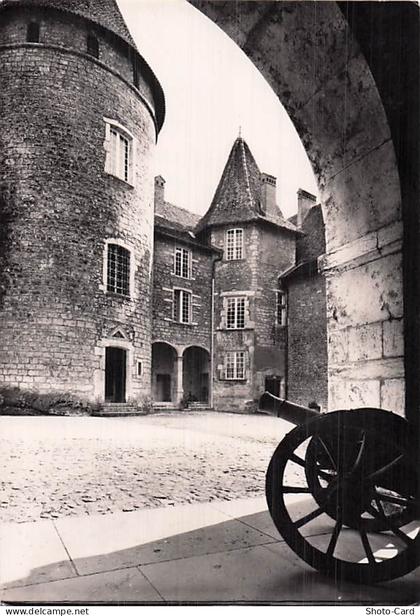 38 VIRIEU CHATEAU DE VIRIEU