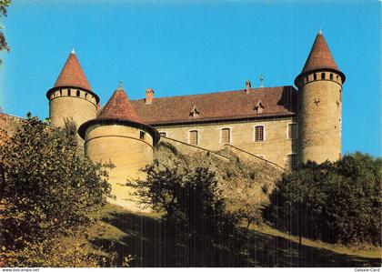 38 VIRIEU CHATEAU DE VIRIEU