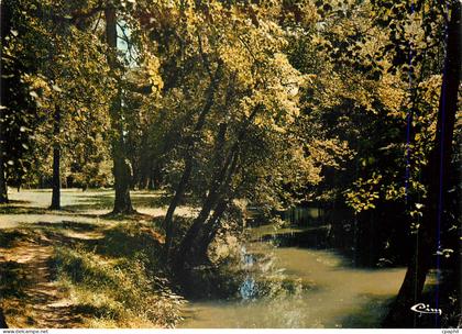 CPM Wassy (Hte Marne)La Blaise