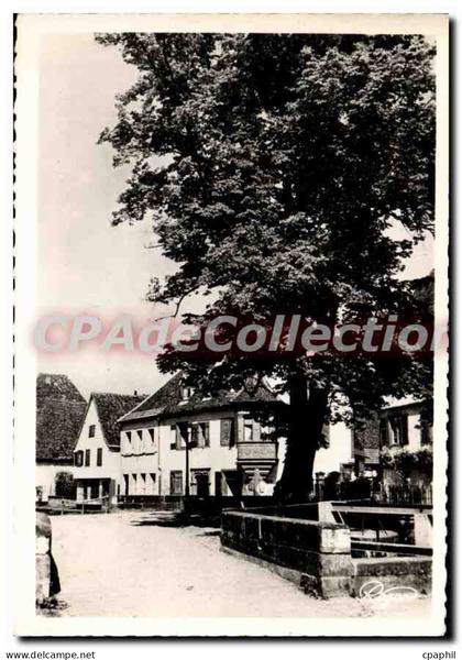CPSM Wissembourg Bas Rhin Faubourg de Bitche