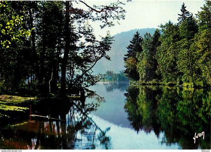 88 - Xonrupt-Longemer - Le lac de Longemer - Carte Neuve - CPM - Voir Scans Recto-Verso