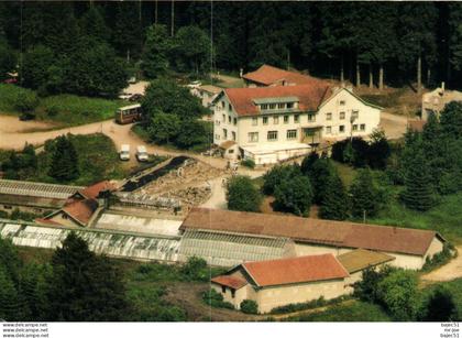 Xonrupt  Longemer - La Moineaudière