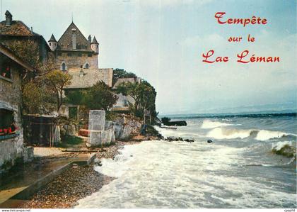 CPM Le Lac Leman Tempete a Yvoire