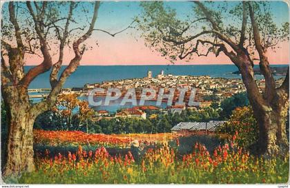 CPA Antibes Panorama vua a travers les Oliviers