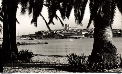 CPM Antibes Echappee la Vieille Ville a travers les palmiers
