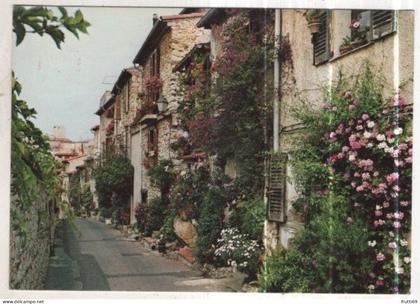 AK 266055 FRANCE - Antibes - la rue du Haut Castelet