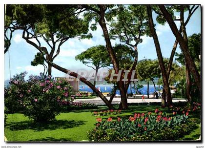 CPM La Cote d'Azur Juan les Pins La Pinede