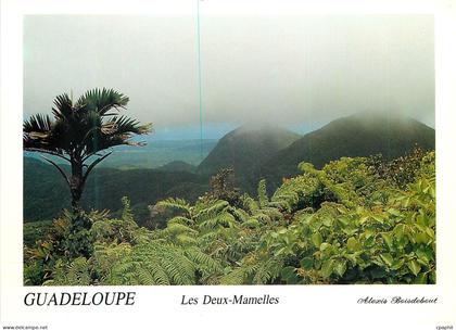CPM Guadeloupe Les Deux Mamelles La Guadeloupe Montagnes de la Basse Terre