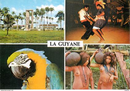 CPM Guyane Francaise Perroquet