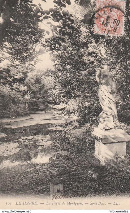76 - LE HAVRE - La Forêt de Montgeon - Sous Bois