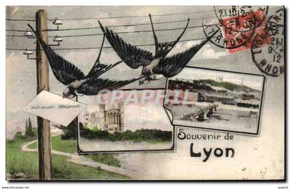 CPA Souvenir de Lyon Hirondelles