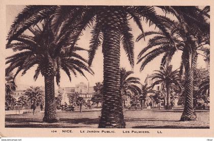 NICE(ARBRE)